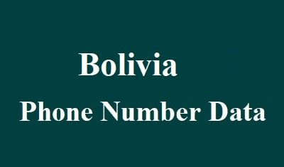 Bolivia Phone Number