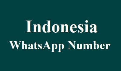 Indonesia WhatsApp Data