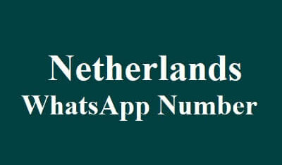 Netherlands WhatsApp Data