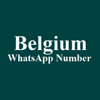 比利时 WhatsApp 数据