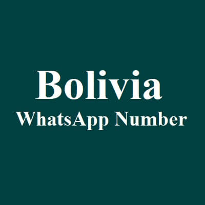 玻利维亚 WhatsApp 数据