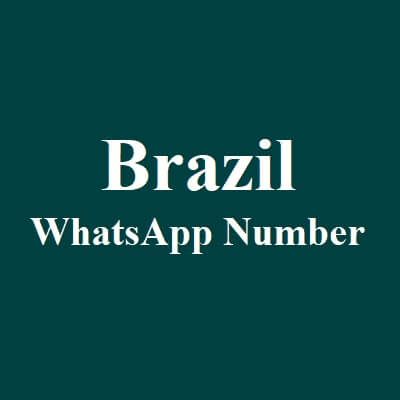 巴西 WhatsApp 数据