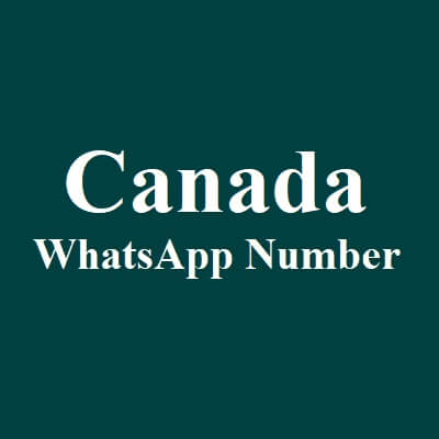 加拿大 WhatsApp 数据