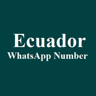 厄瓜多尔 WhatsApp 数据