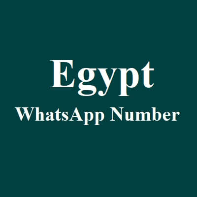 埃及 WhatsApp 数据