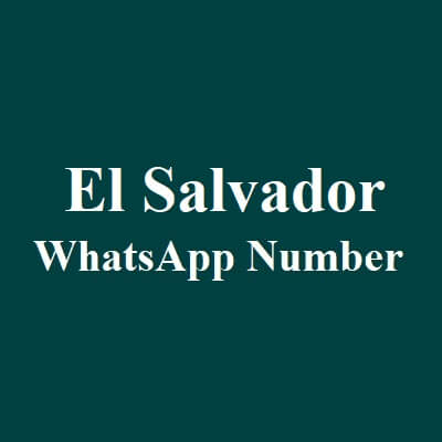 萨尔瓦多 WhatsApp 数据