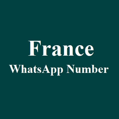 法国 WhatsApp 数据