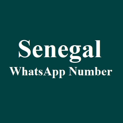 塞内加尔 WhatsApp 数据