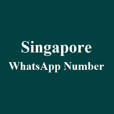 新加坡 WhatsApp 数据