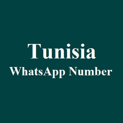 突尼斯 WhatsApp 数据