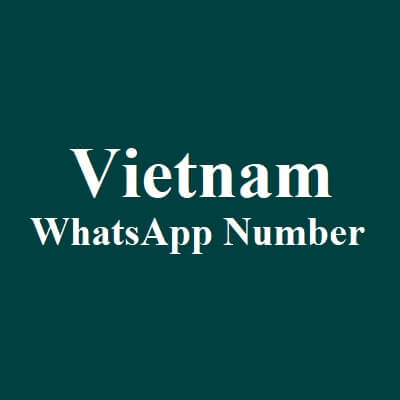 越南 WhatsApp 数据